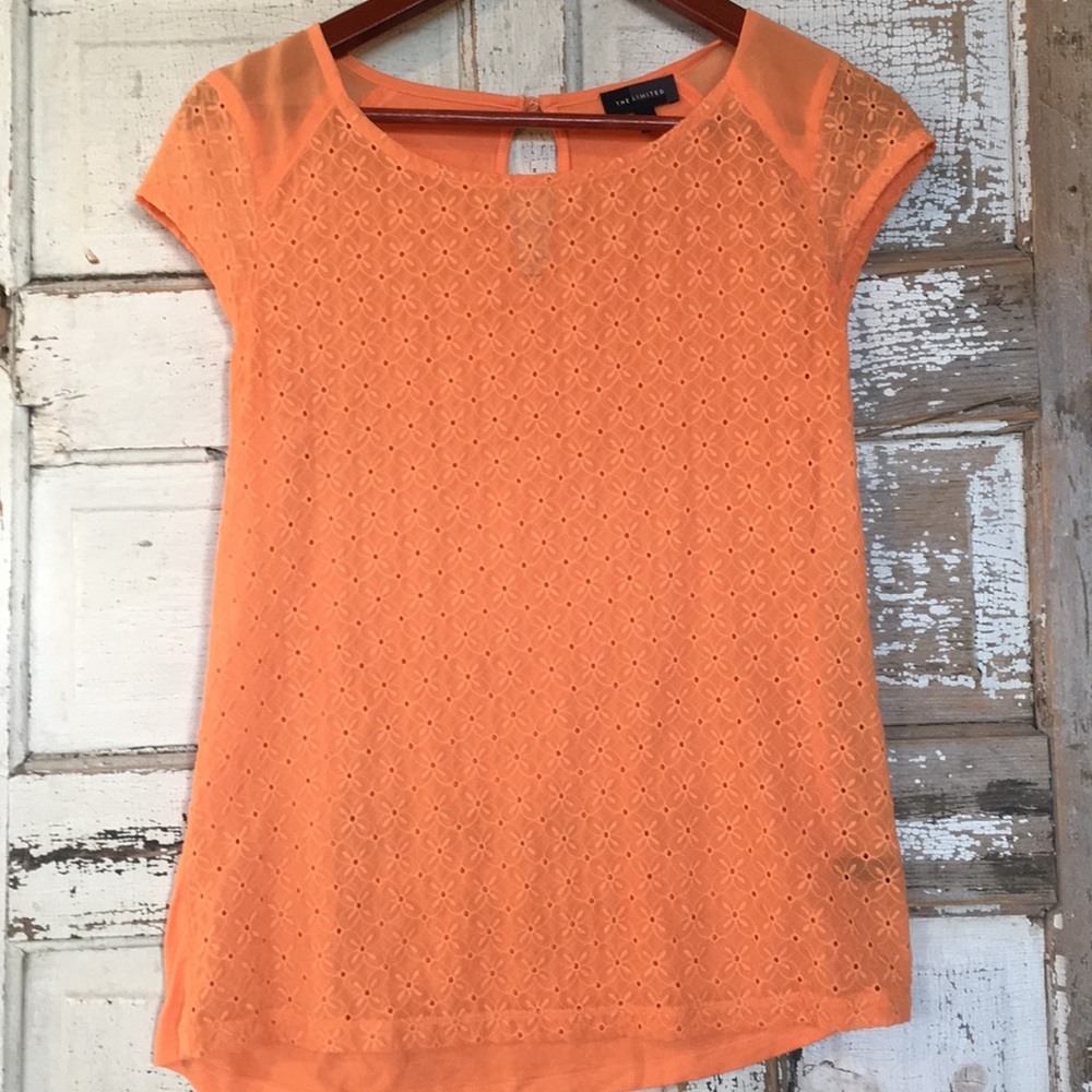 Limited Summer Eyelet Bright Top Cute Back Detail